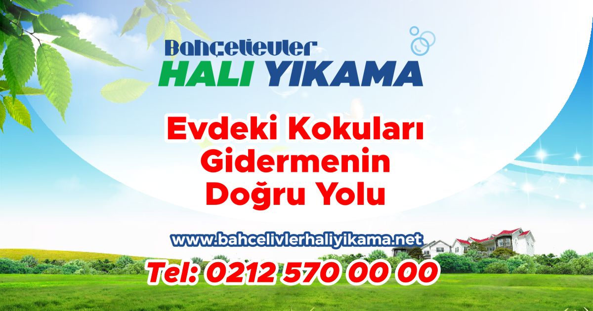 Evinizdeki Kokuları Gidermenin Doğru Yolu