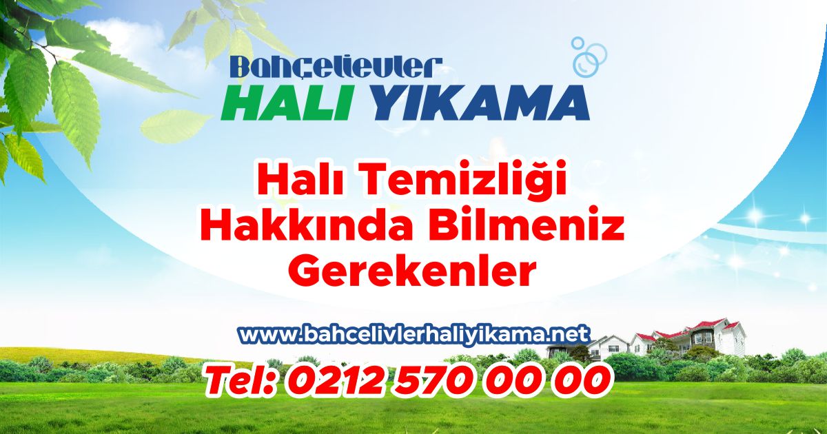 Halı Temizliği Hakkında Bilmeniz Gerekenler